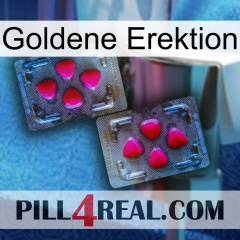 Golden Erection 15